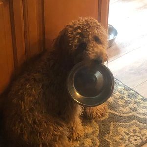 Meet your Posher, Abbie